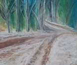 Into the Winter Forest by Laura Bernardeschi Nelson 