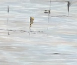 Shani Shtalryd, Acrilyc on canvas, 110 by 230 cm