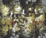 Signature collection moose escapes