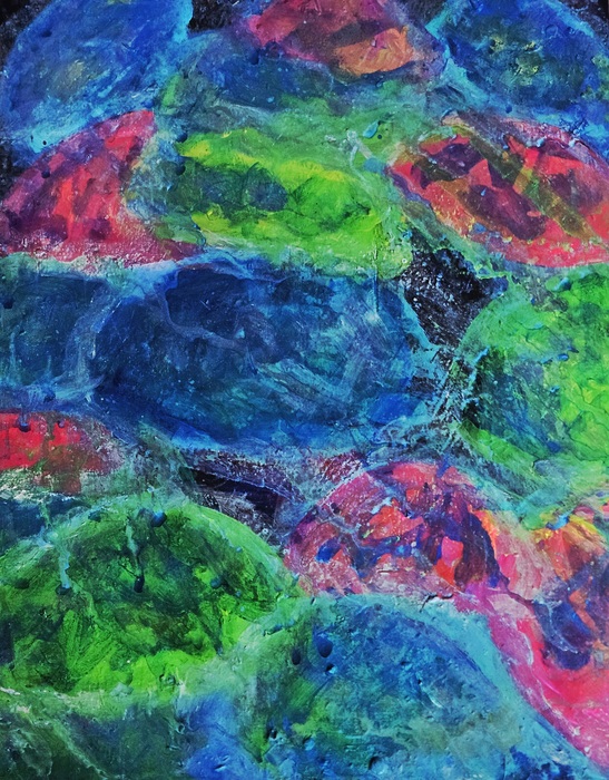 Jellies under normal light