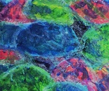 Jellies under normal light