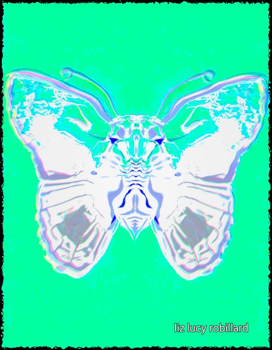 Starved, Startled, Butterfly