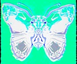 Starved, Startled, Butterfly