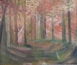 The Path Beyond Noise by Laura Bernardeschi Nelson 