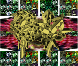 Americans 1799 americans 1812 i