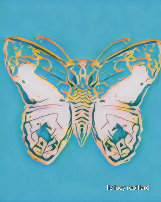 Nice Butterfly by Liz Lucy Robillard