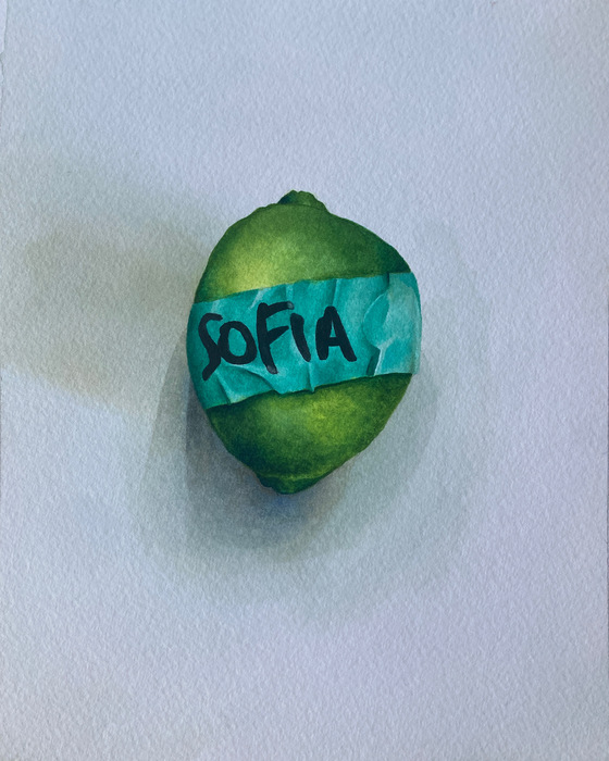 Shared Kitchen - Lime