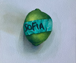 Shared Kitchen - Lime