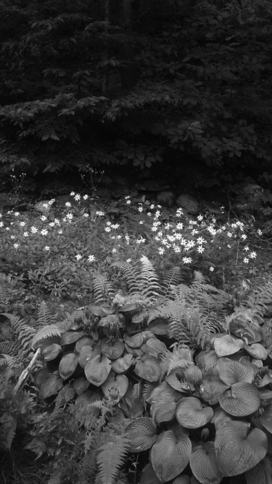 Berkshires III by Charles Hively