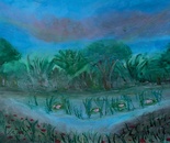 The Water Remembers by Laura Bernardeschi Nelson 