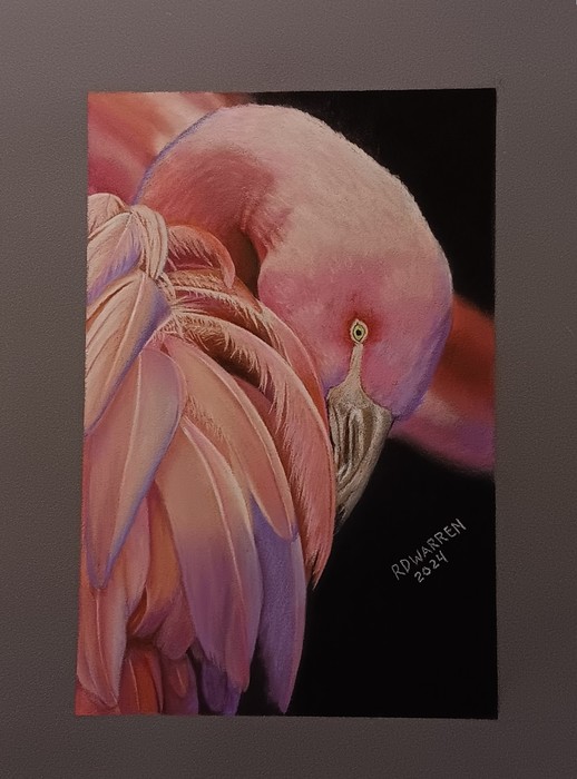 FLAMINGO by Rick Warren