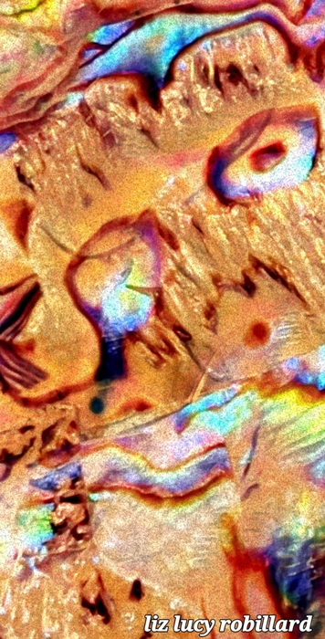 Skeleton Stoned by Liz Lucy Robillard