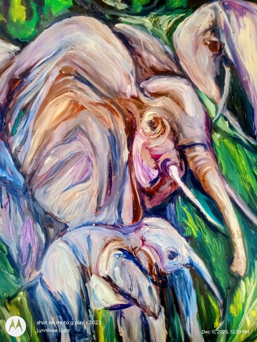 Elephants of 2025 by Lynn Rose Light