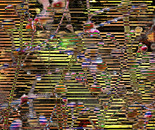 sensitive construction 16