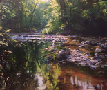 If I Could Walk On Water