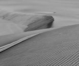 Alex Zavitan - Digital photo on photo paper. 1/5 pcs, 50 by 70 cm