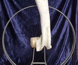 Alex Zavitan - Concrete, iron and marble, height: 85 cm