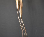 Bronze Spiral Pods