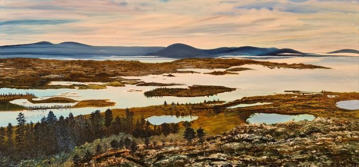  Sarah Brin, Oil on canvas, 50 by 100 cm