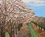 Sarah Brin, Acrylic on canvas, 70 by 50 cm