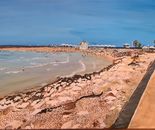 Sarah Brin, Oil on canvas, 50 by 60 cm