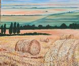 Sarah Brin, Acrylic on canvas, 50 by 40 cm