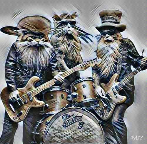 Cat Rockers by RAZZ M'TAZZ