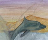 Dolphin at Sunset 