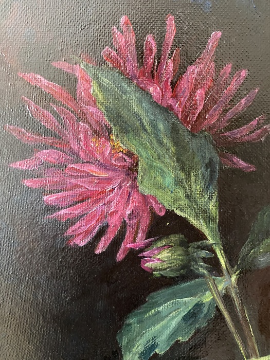 Close up Dahlias  by Mary McNeill