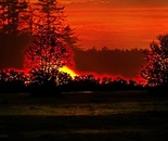 Raising the Red Sun 
