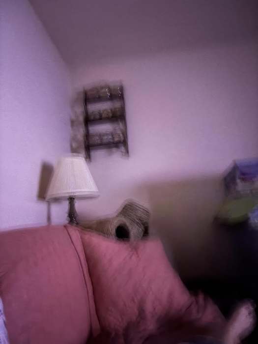 Study of a Living Room