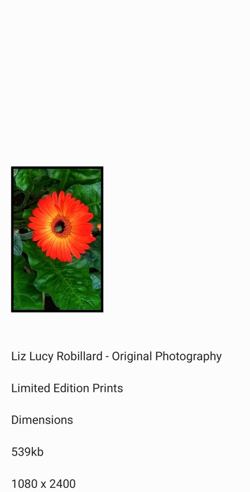 orange by Liz Lucy Robillard