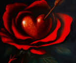Rose Periced Heart