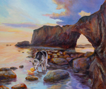 The Duck, the Dog, and the Sea