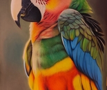 Parrot painting