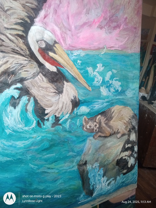 Pelican and Racoon from Louisiana 