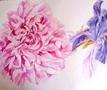 Peony3