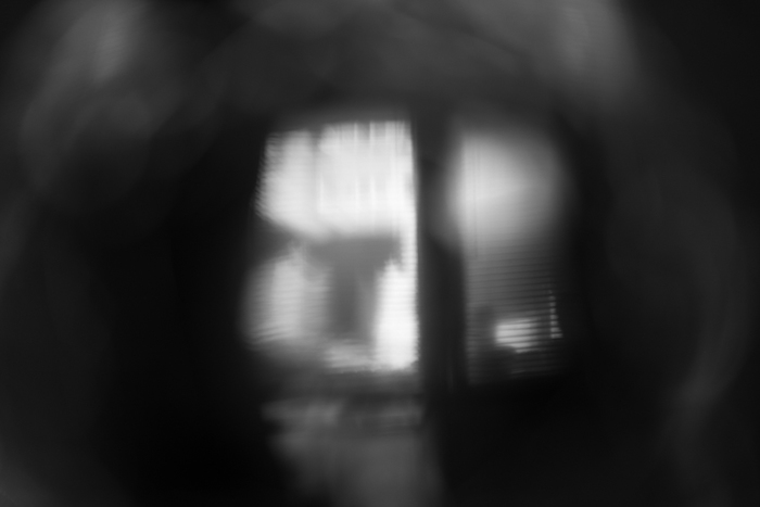 The Window