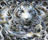 Tiger Camouflage 