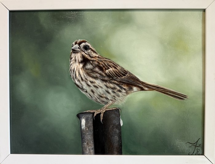 Sparrow in Spring