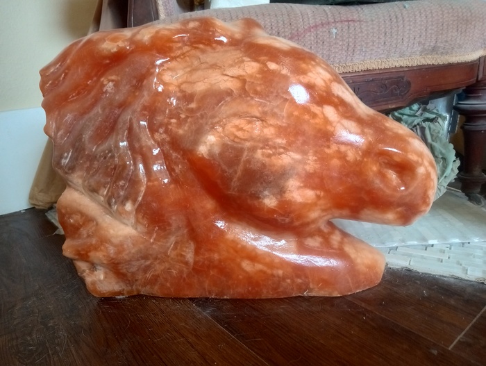 Orange Horse by Lynn Rose Light