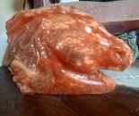 Orange Horse