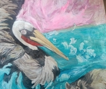 Pelican