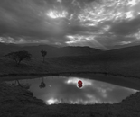 INTROSPECTION