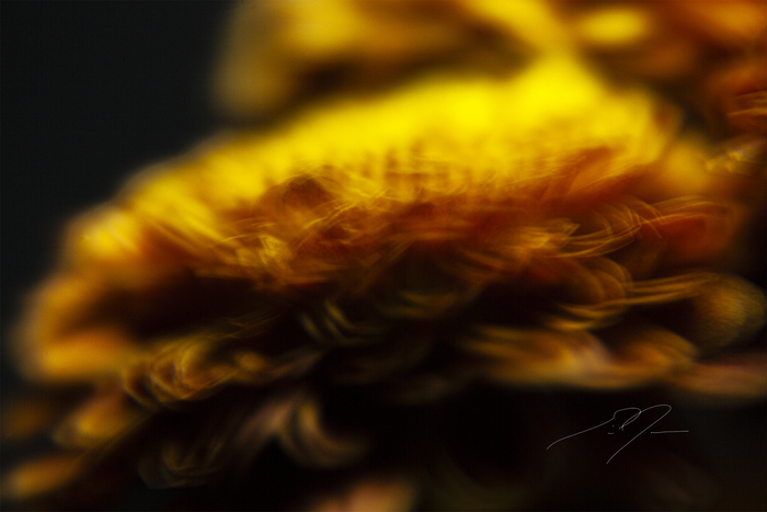 INCANDESCENCE by Eric C. Jackson