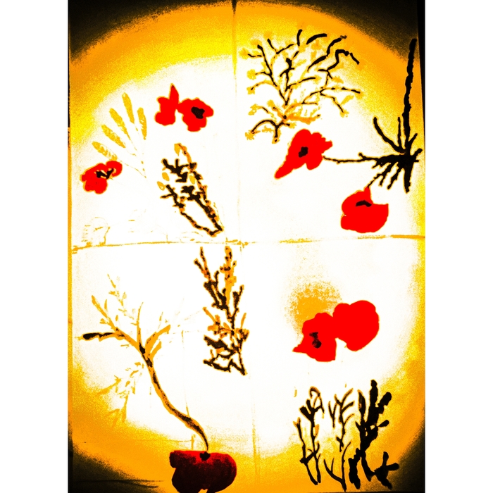 Poppy Radiance by Bina PS