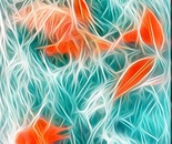 Turquoise feather play