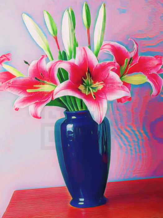 Lily by Liz Lucy Robillard