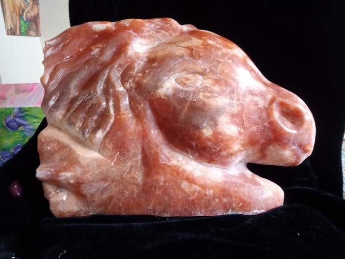 Orange Horse by Lynn Rose Light