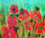 Poppies Abstract 